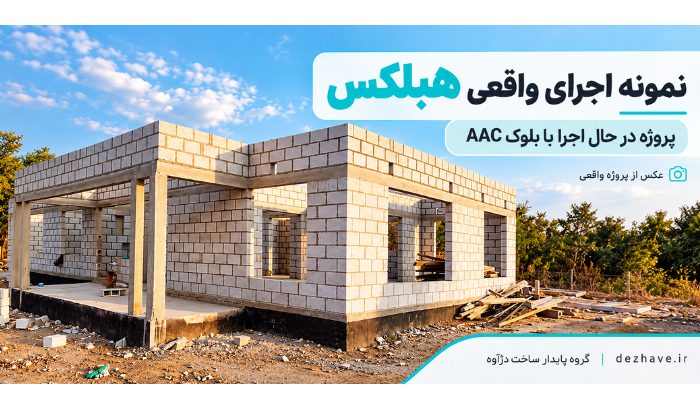 نمونه اجرای واقعی هبلکس
