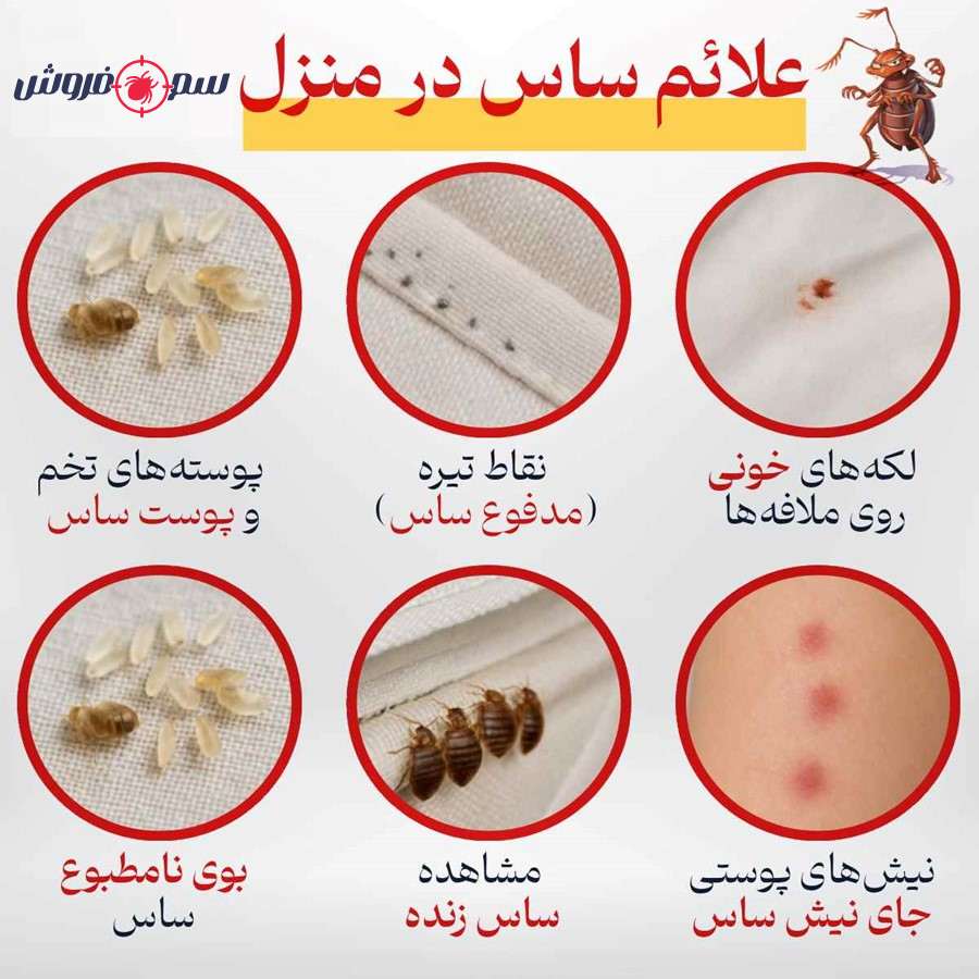 علائم ساس در منزل