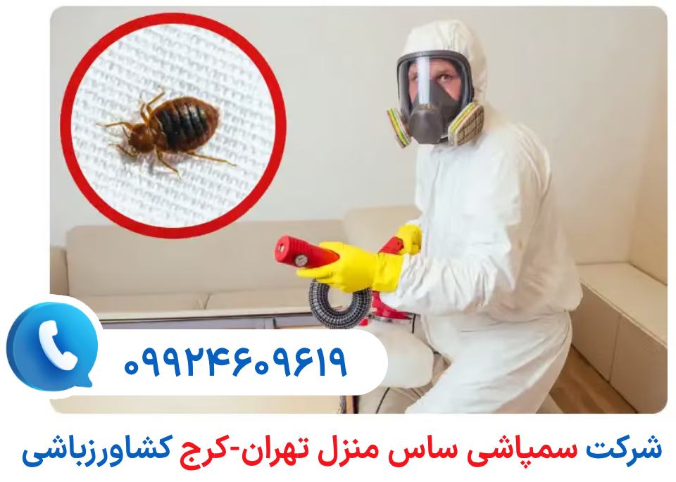 شرکت سمپاشی ساس منزل کشاورزباشی: رتبه برتر سمپاشی ساس