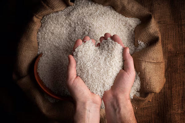 برنج هاشمی ایرانی