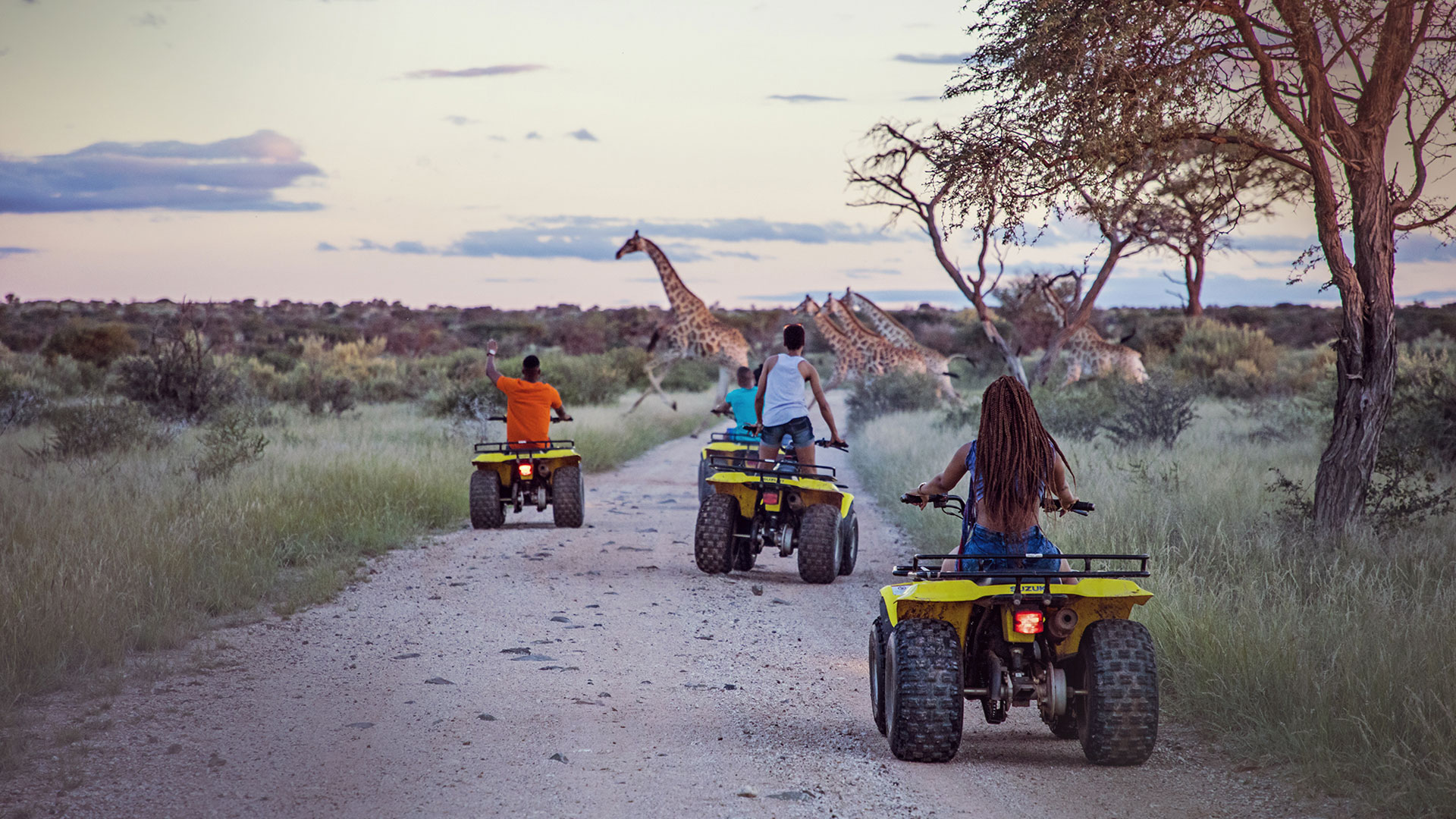 تورهای قاره آفریقا