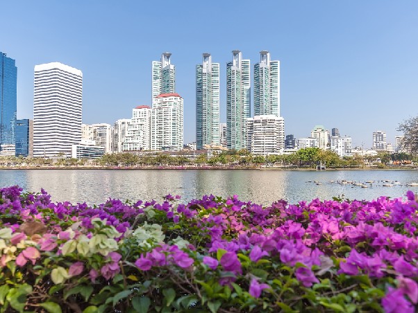 نوآوریهای تکنولوژیکی در ساخت برج داماک دبی