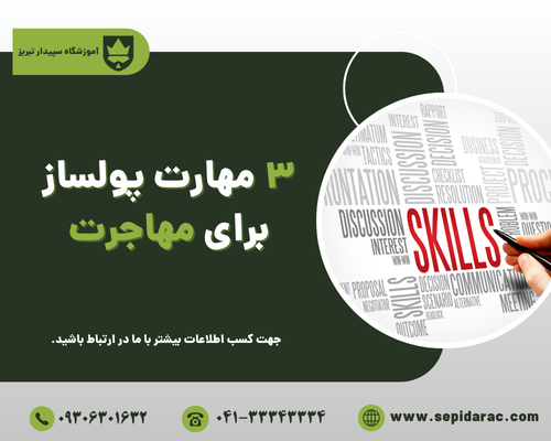 3 مهارت پولساز برای مهاجرت