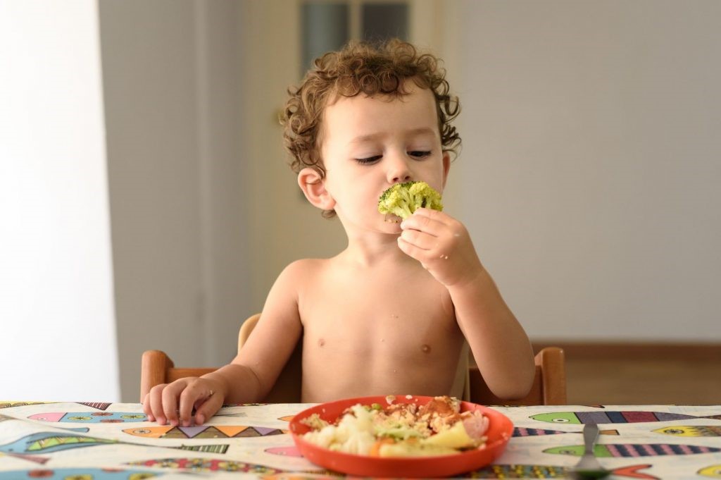 برنامه غذایی سالم برای کودک؛ پرستار منزل پیشنهاد میدهد