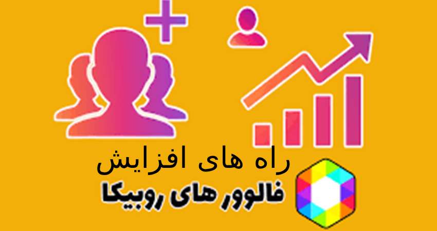 افزایش فالوور روبینو