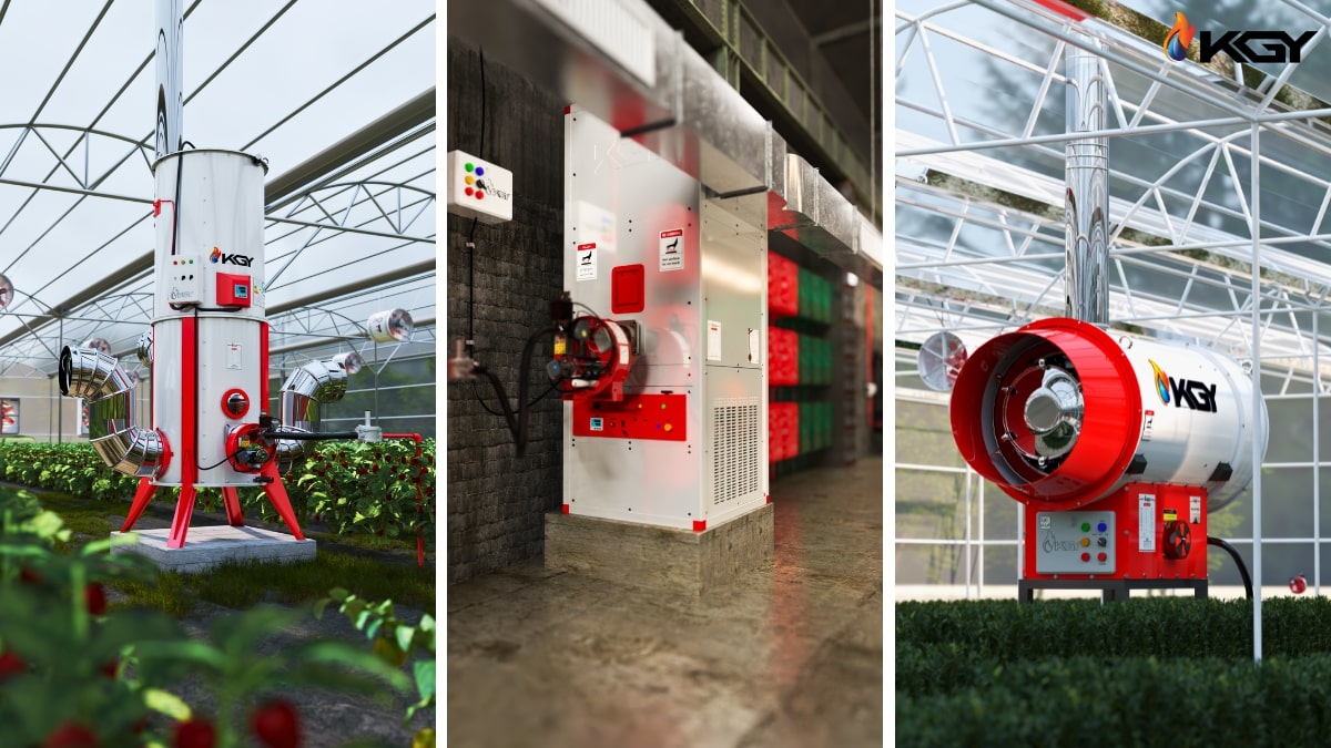 برند کولاک گستر یزد