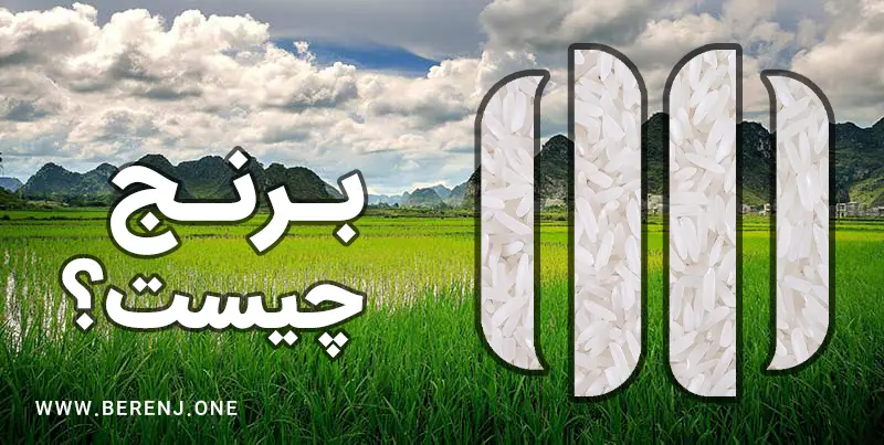 برنج چیست؟