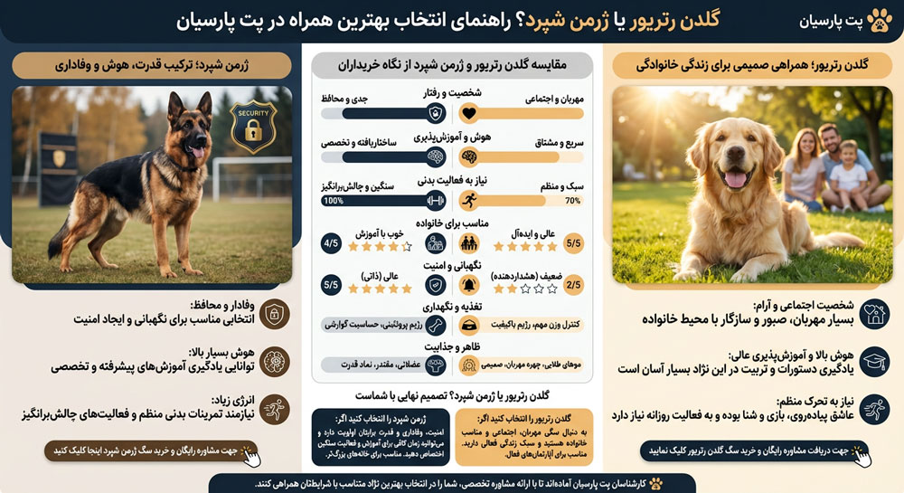 اینفوگرافی ژرمن و گلدن