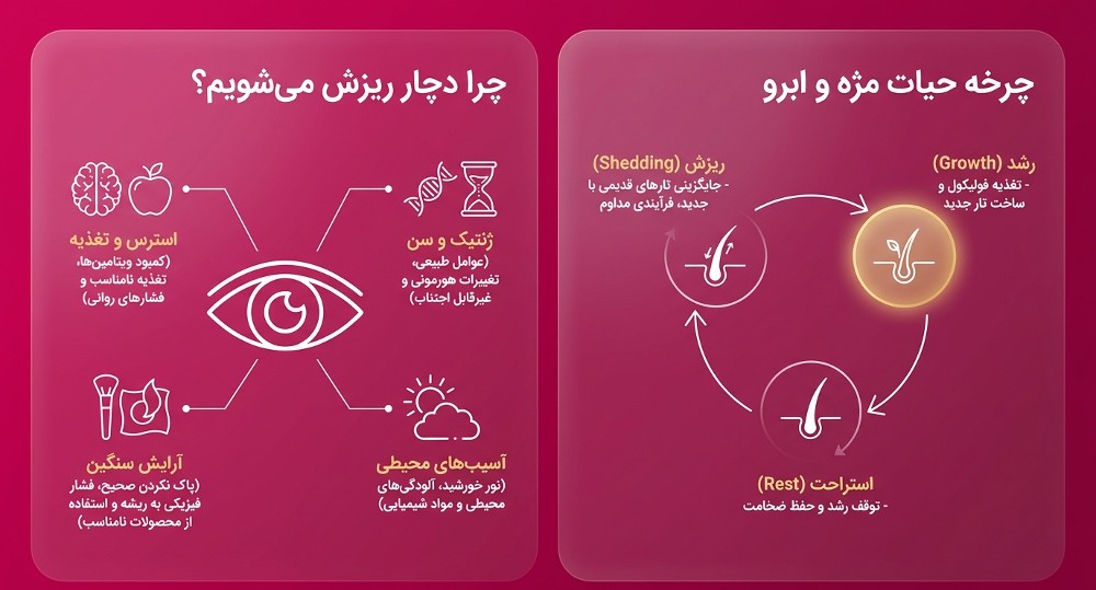 رشد مژه و ابرو