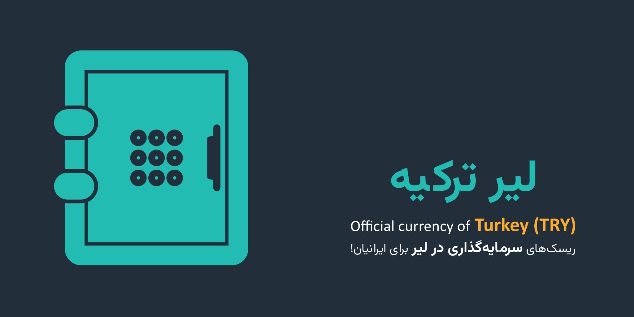 معایب و ریسک‌های سرمایه‌گذاری روی لیر ترکیه