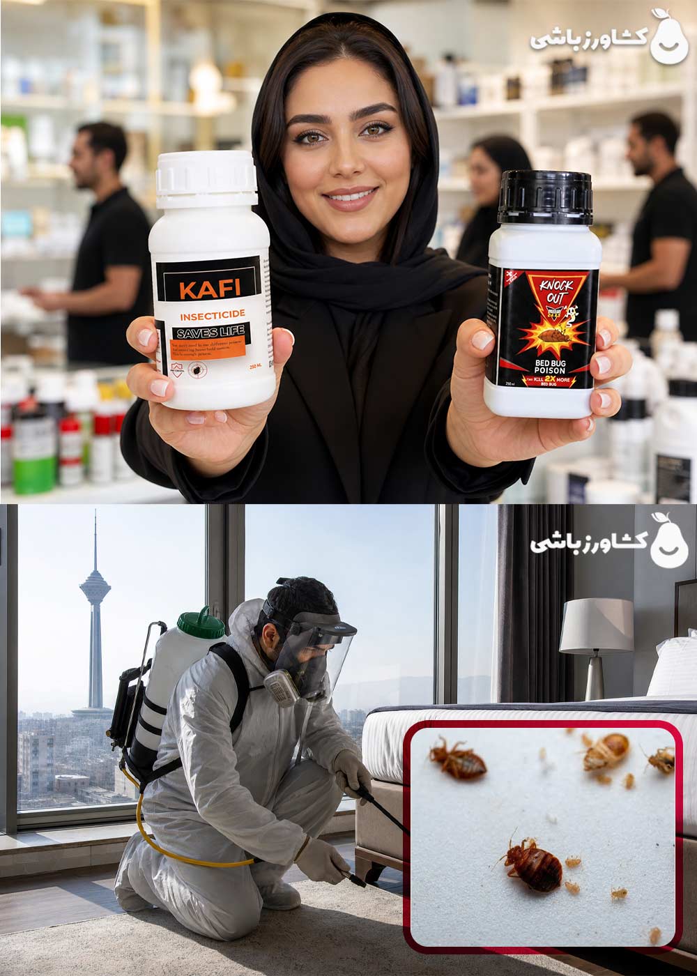 خودم سمپاشی کنم یا کار را به شرکت سمپاشی ساس بسپارم؟
