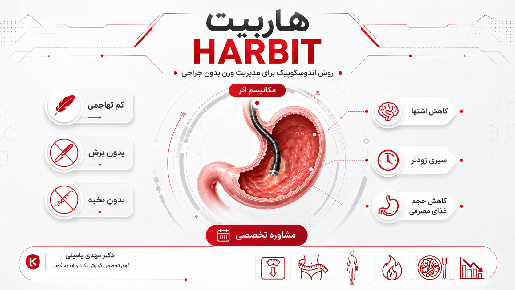 هاربیت لاغری چیست؟ معرفی علمی روش HARBIT برای کاهش اشتها و کنترل وزن بدون جراحی