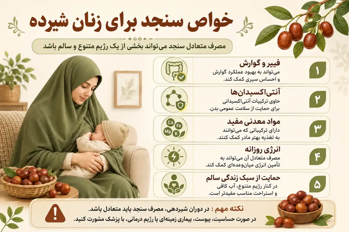 خواص سنجد برای زنان شیرده-فواید سنجد برای بانوان شیرده-فراتن