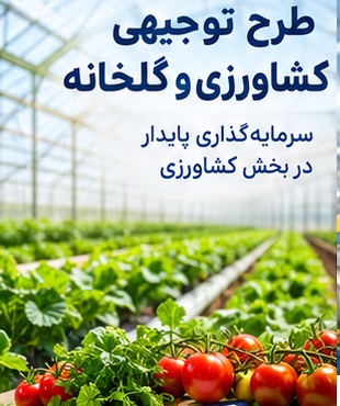 بیزینس پلن