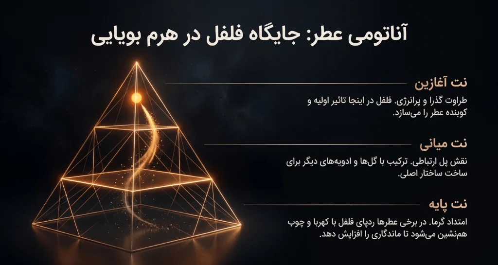 جایگاه نت فلفل در هرم بویایی عطر و تأثیر آن بر نتهای آغازین، میانی و پایه