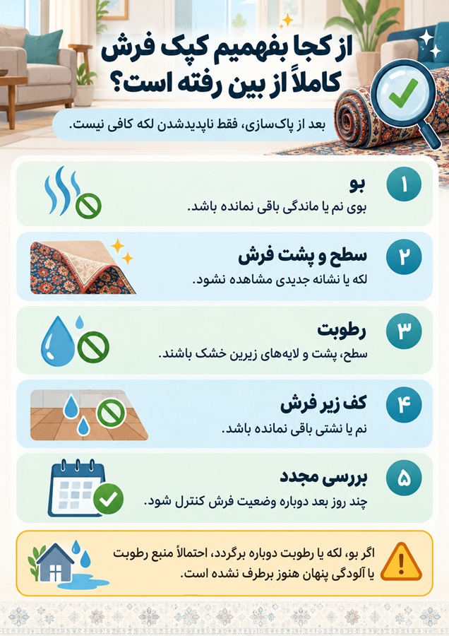 از کجا بفهمیم کپک فرش از بین رفته