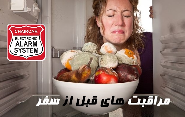 خاموش شدن فریزر و خراب شدن مواد غذایی هنگام سفر