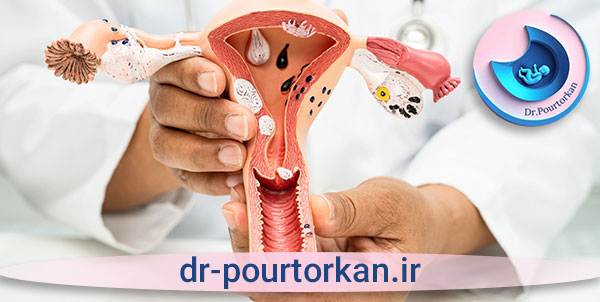 بهترین مرکز عکس رنگی رحم بدون درد و بیهوشی؛ تجربه‌ای متفاوت در تصویربرداری زنان

